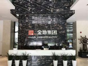 金地集团多功能会议室案例