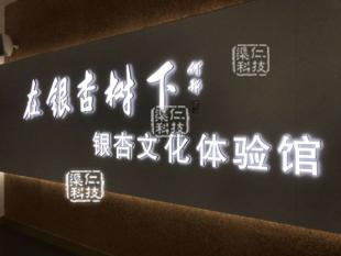 金山银杏人 大屏互动文化体验馆工程案例