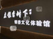 金山银杏人         大屏互动文化体验馆工程案例