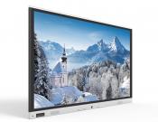 ICB-V860