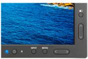 NEC P243W