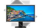 NEC PA243W